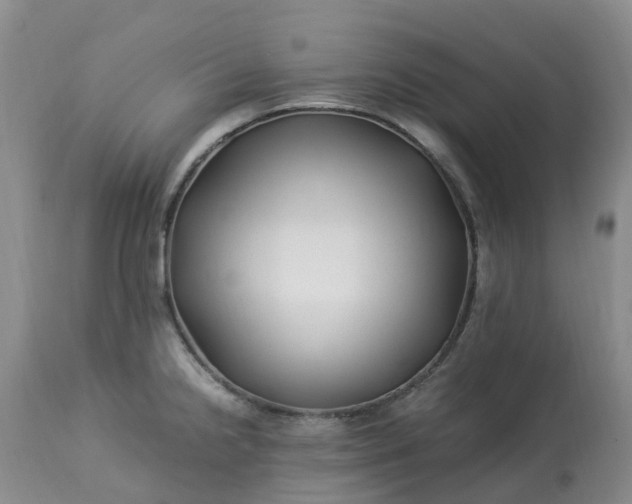 X0000113091238200909111019