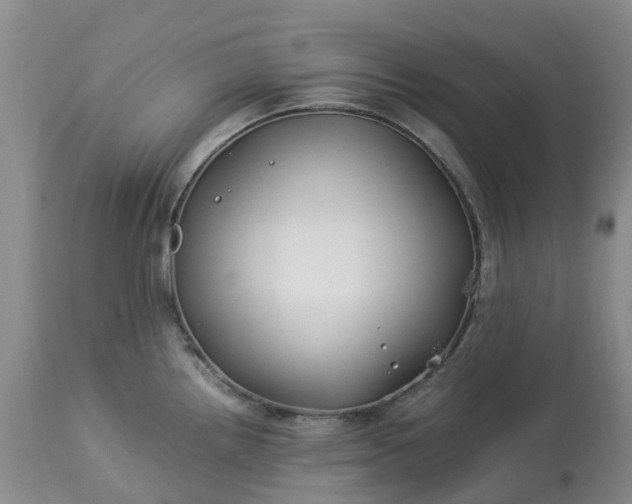 X0000113091242200909111019