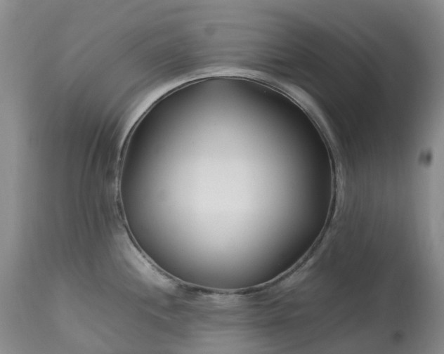 X0000113091244200909111019