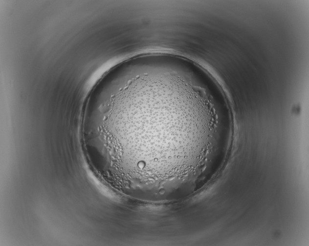 X0000113091245200909111019