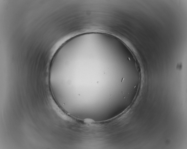 X0000113091246200909111019