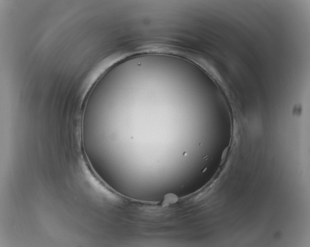 X0000113091247200909111019