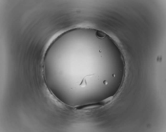 X0000113091248200909111019