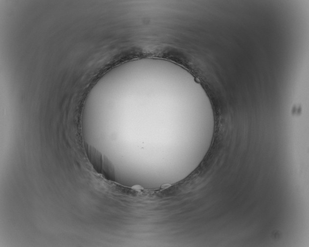 X0000113091249200909111019