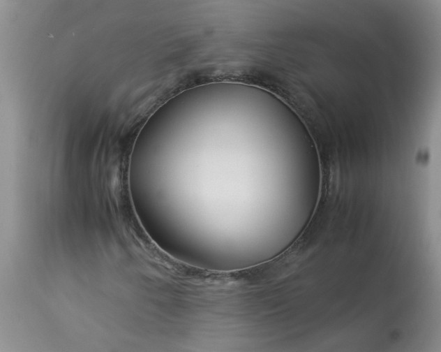 X0000113091250200909111019