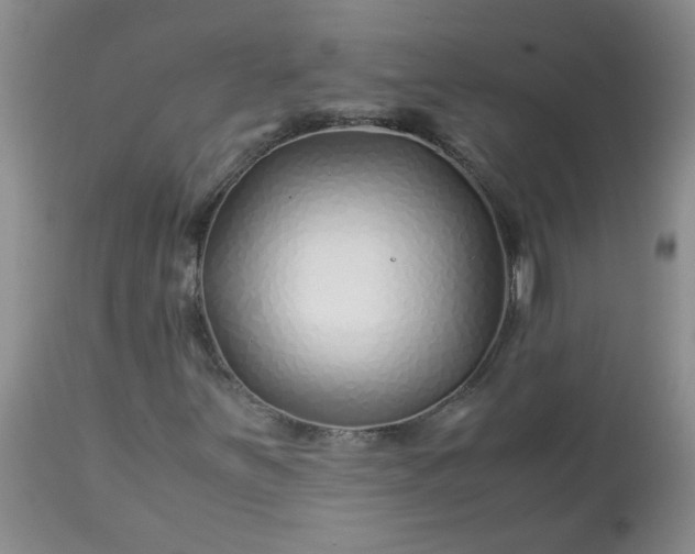 X0000113091251200909111019