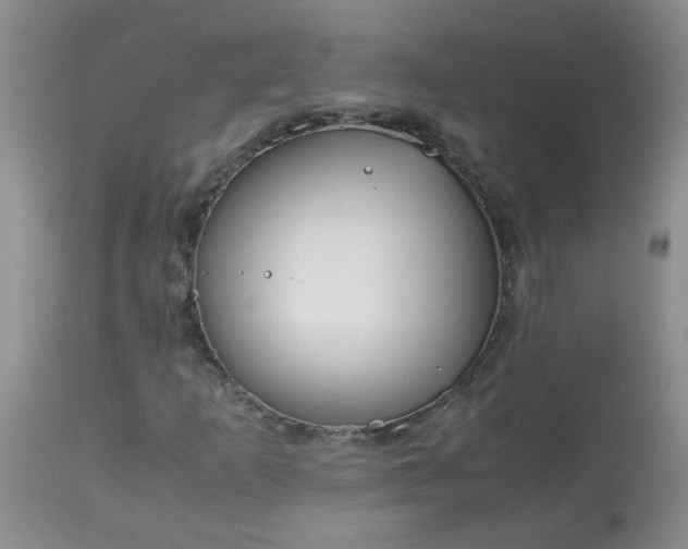 X0000113091253200909111019