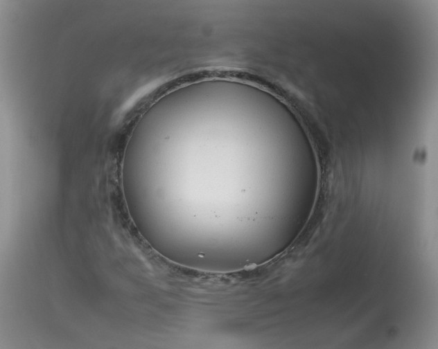 X0000113091255200909111019