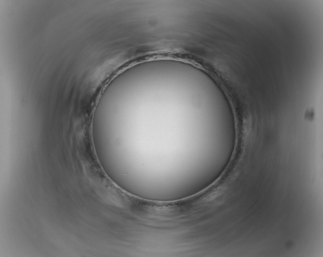 X0000113091257200909111019