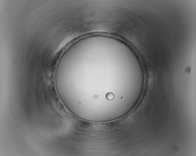 X0000113091258200909111019