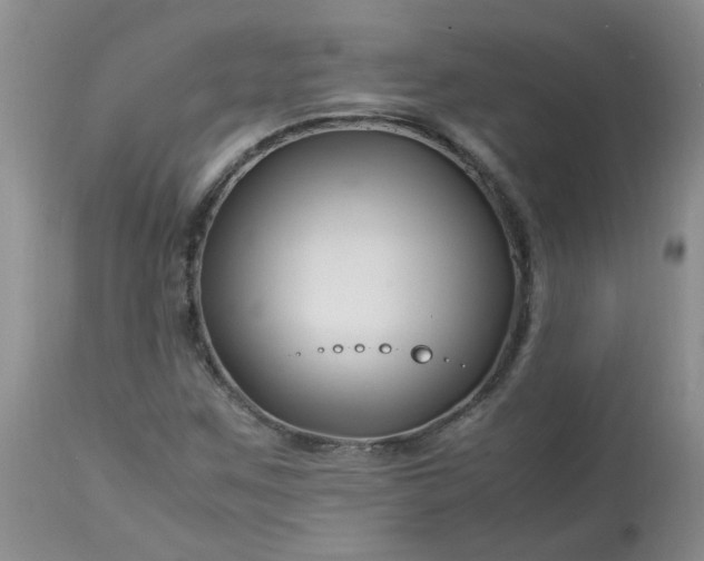 X0000113091259200909111019