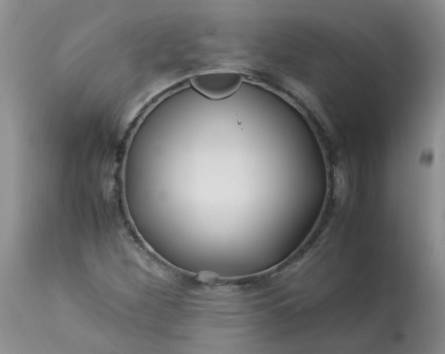 X0000113091260200909111019