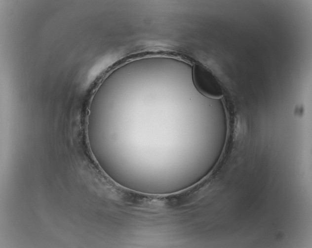 X0000113091261200909111019