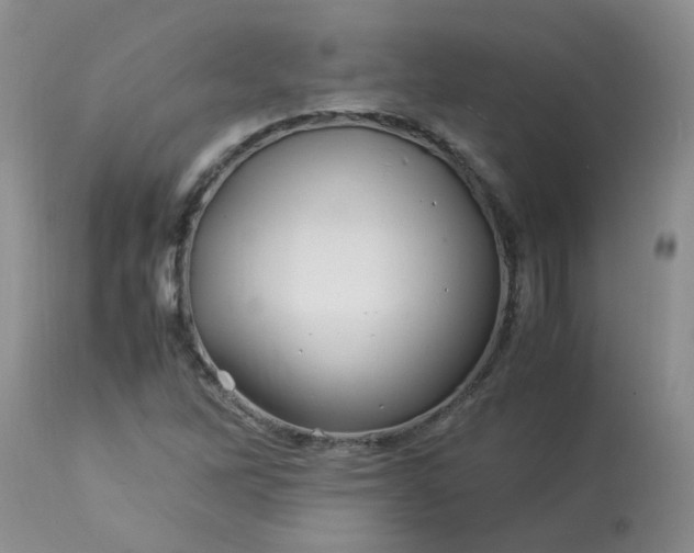 X0000113091262200909111019