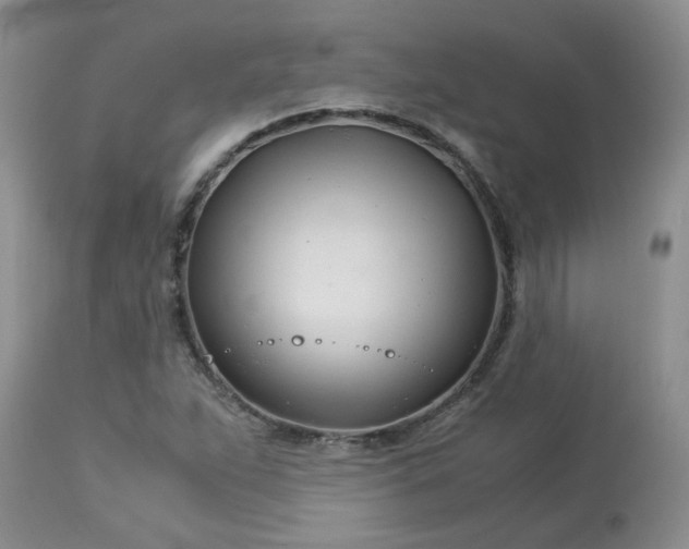 X0000113091263200909111019