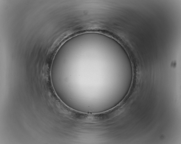 X0000113091265200909111019