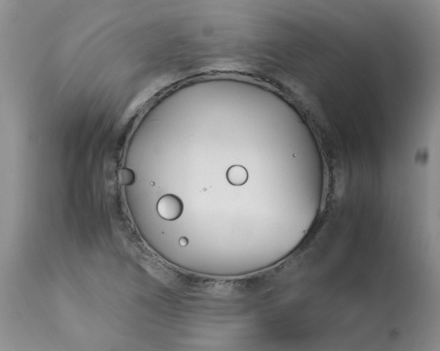 X0000113091266200909111019