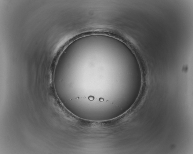X0000113091267200909111018