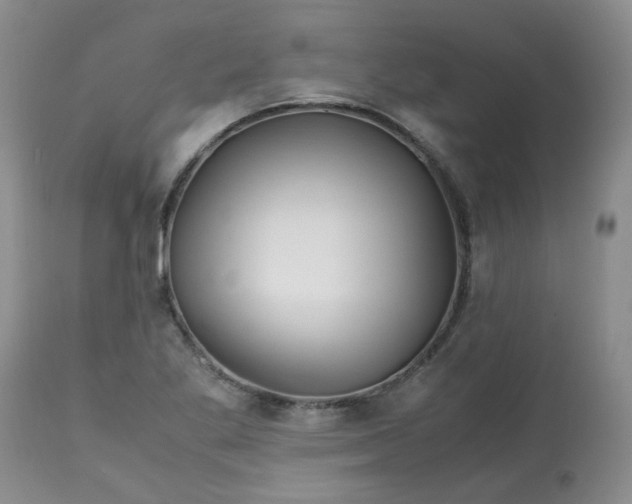 X0000113091269200909111018