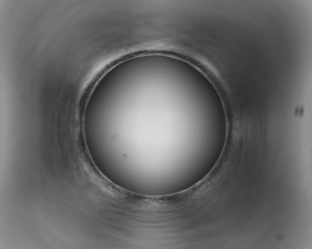 X0000113091270200909111018