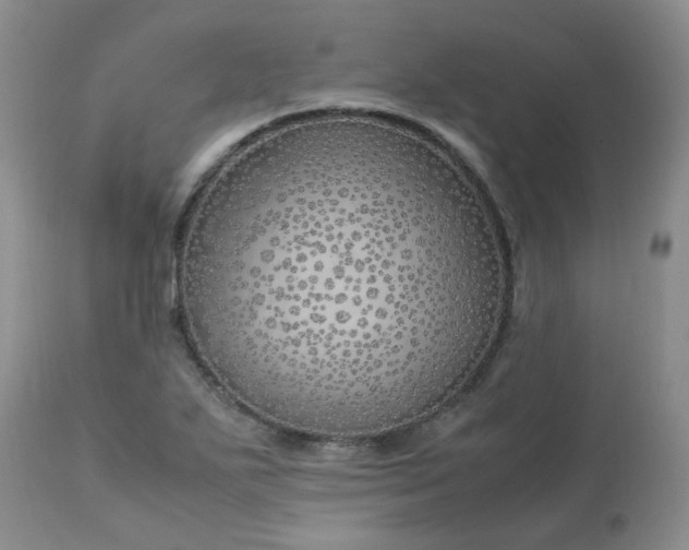X0000113091271200909111018