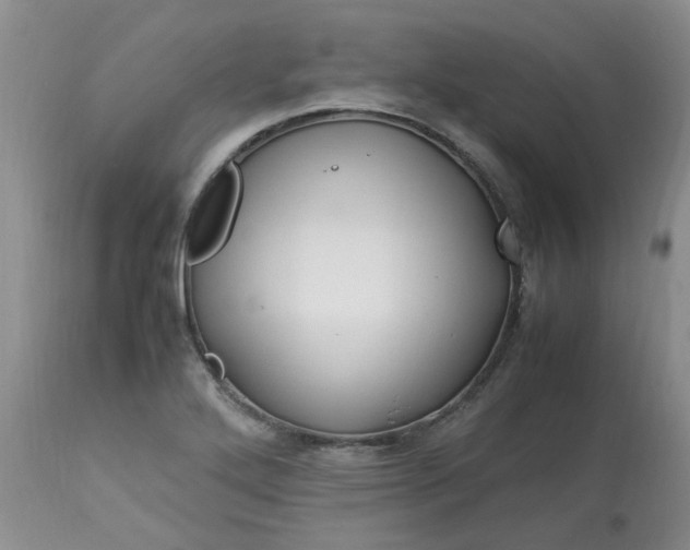 X0000113091272200909111018
