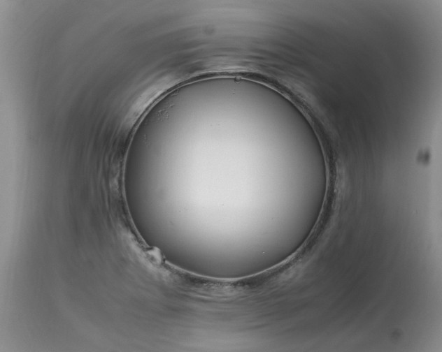 X0000113091273200909111018