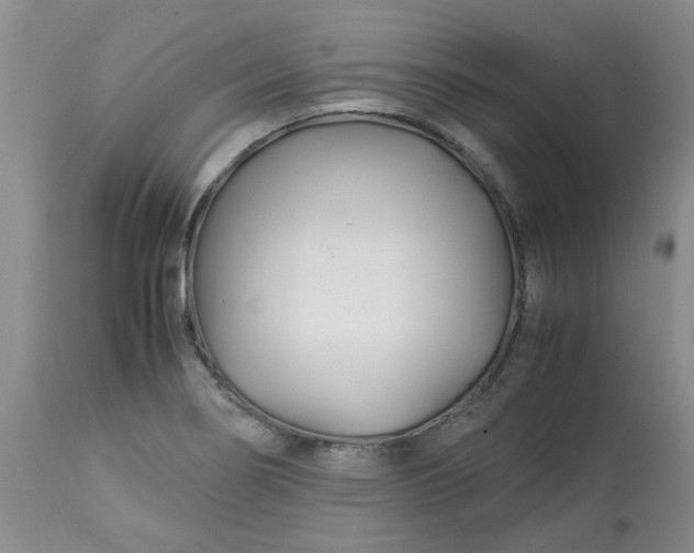 X0000113091274200909111018