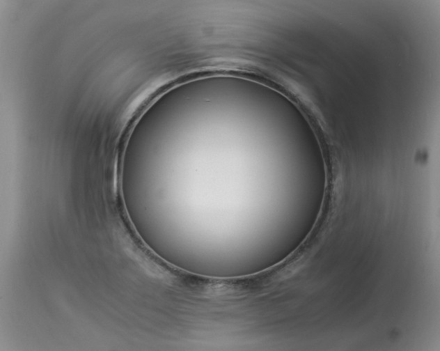 X0000113091275200909111018