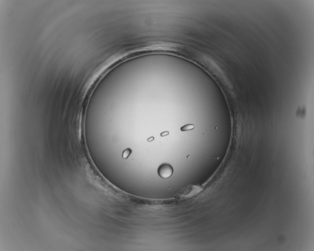 X0000113091276200909111018
