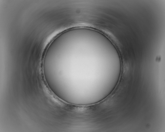 X0000113091278200909111018