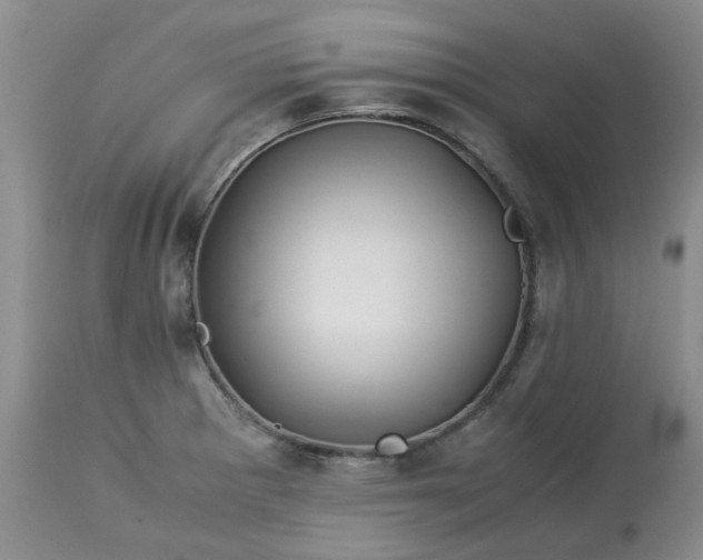 X0000113091281200909111018