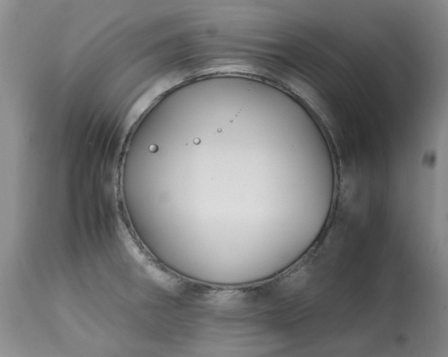X0000113091282200909111018