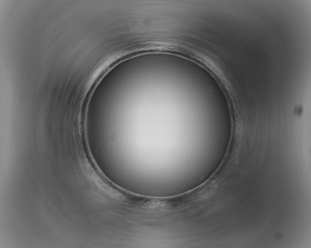X0000113091283200909111018
