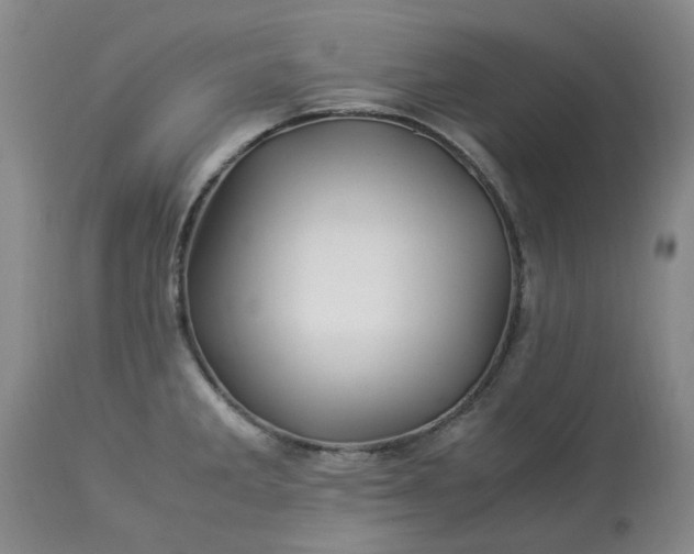 X0000113091285200909111018