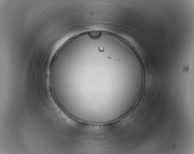 X0000113091286200909111018