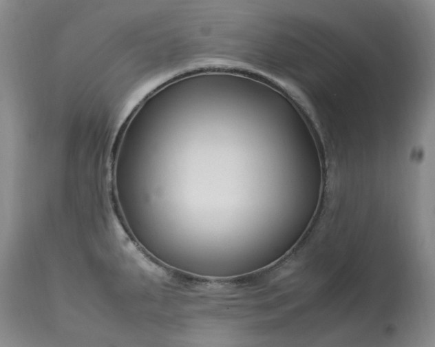X0000113091287200909111018