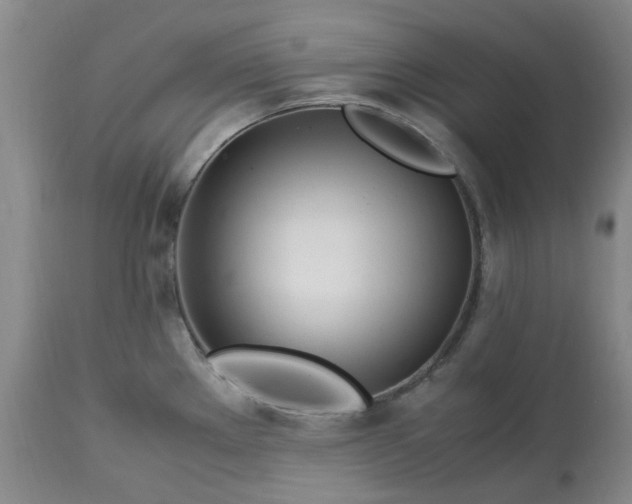 X0000113091289200909111018