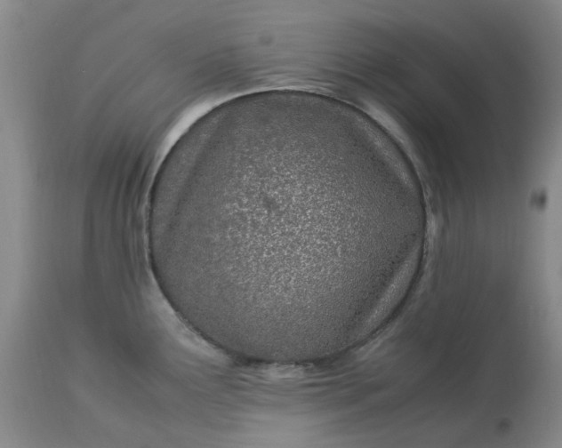 X0000113091291200909111018