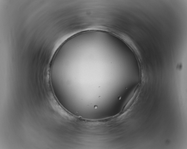 X0000113091292200909111018