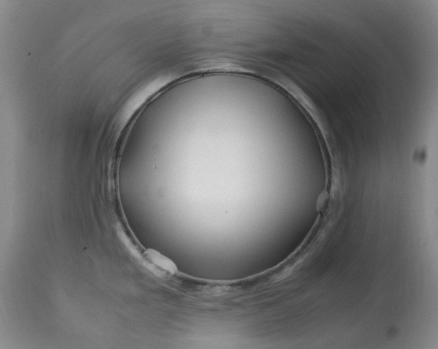 X0000113091293200909111018