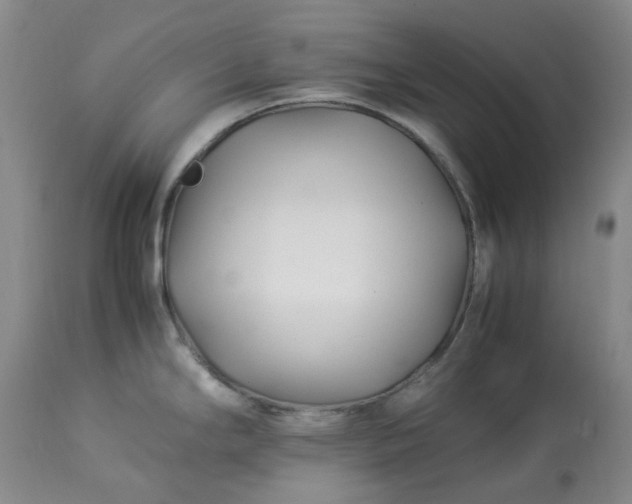 X0000113091294200909111018