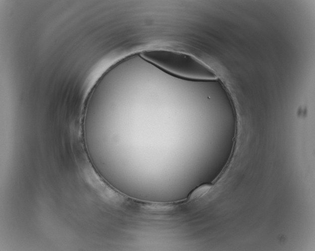 X0000113091296200909111018