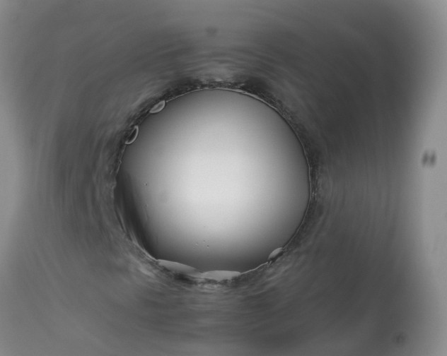 X0000113091297200909111017