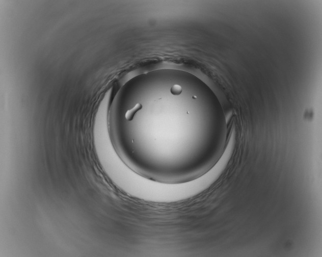 X0000113091298200909111017