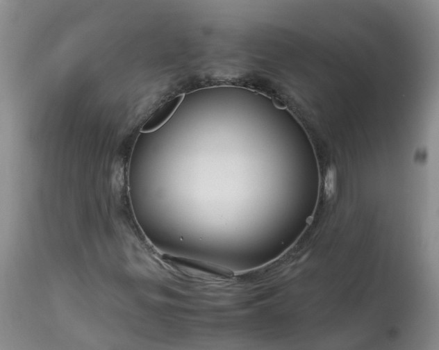 X0000113091299200909111017