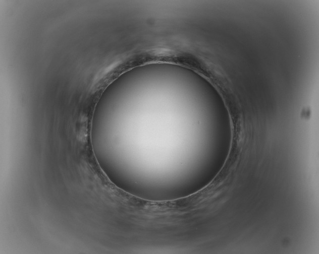 X0000113091301200909111017