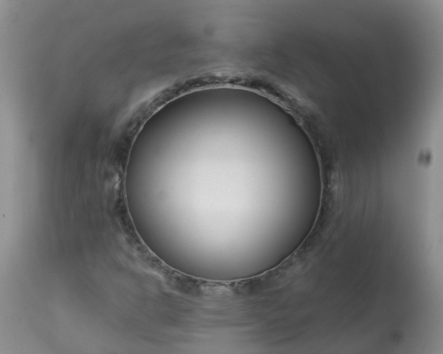 X0000113091302200909111017