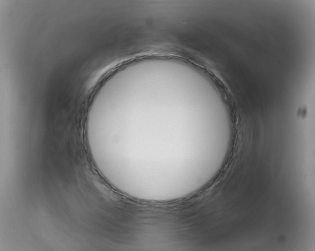 X0000113091304200909111017