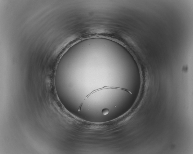 X0000113091305200909111017